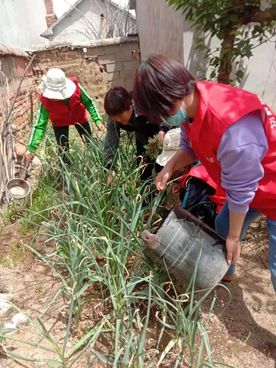 4月党员志愿服务活动,4月份党员开展志愿服务活动内容