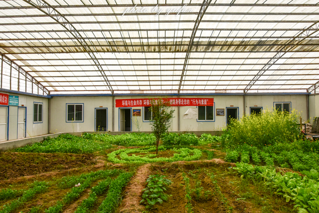 中国最干净最生态的农村,中国最简陋县政府大楼