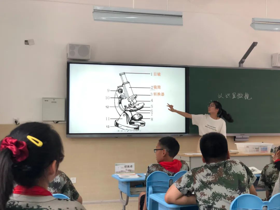 江苏省南京市南师附中邺城路初中,南师附中邺城路小学是事业单位吗