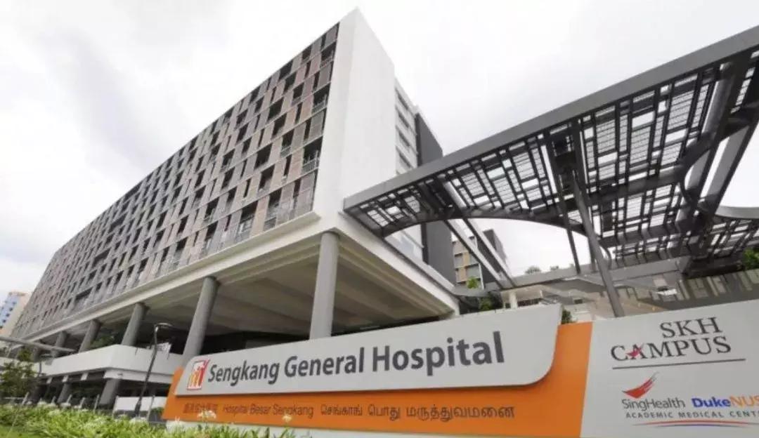 新加坡人口密度大却不拥挤,新加坡和香港哪个人口密度大