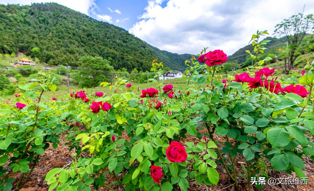 云南极边之城旅游攻略,云南不费脑的旅游攻略