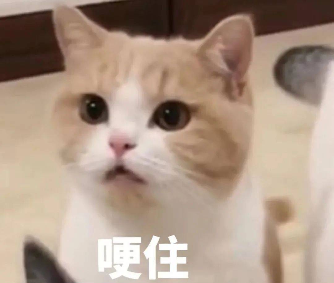 提前联系导师导师回复了怎么办,考研结束后联系导师的最佳时间