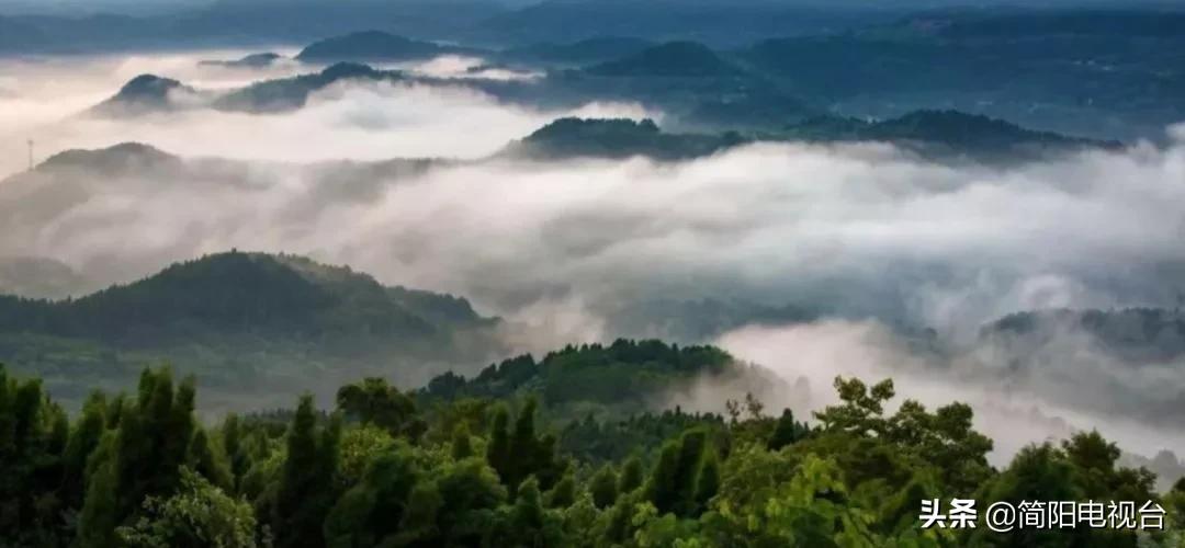 遇见天府雄州|陈新:一道美食映照的修为