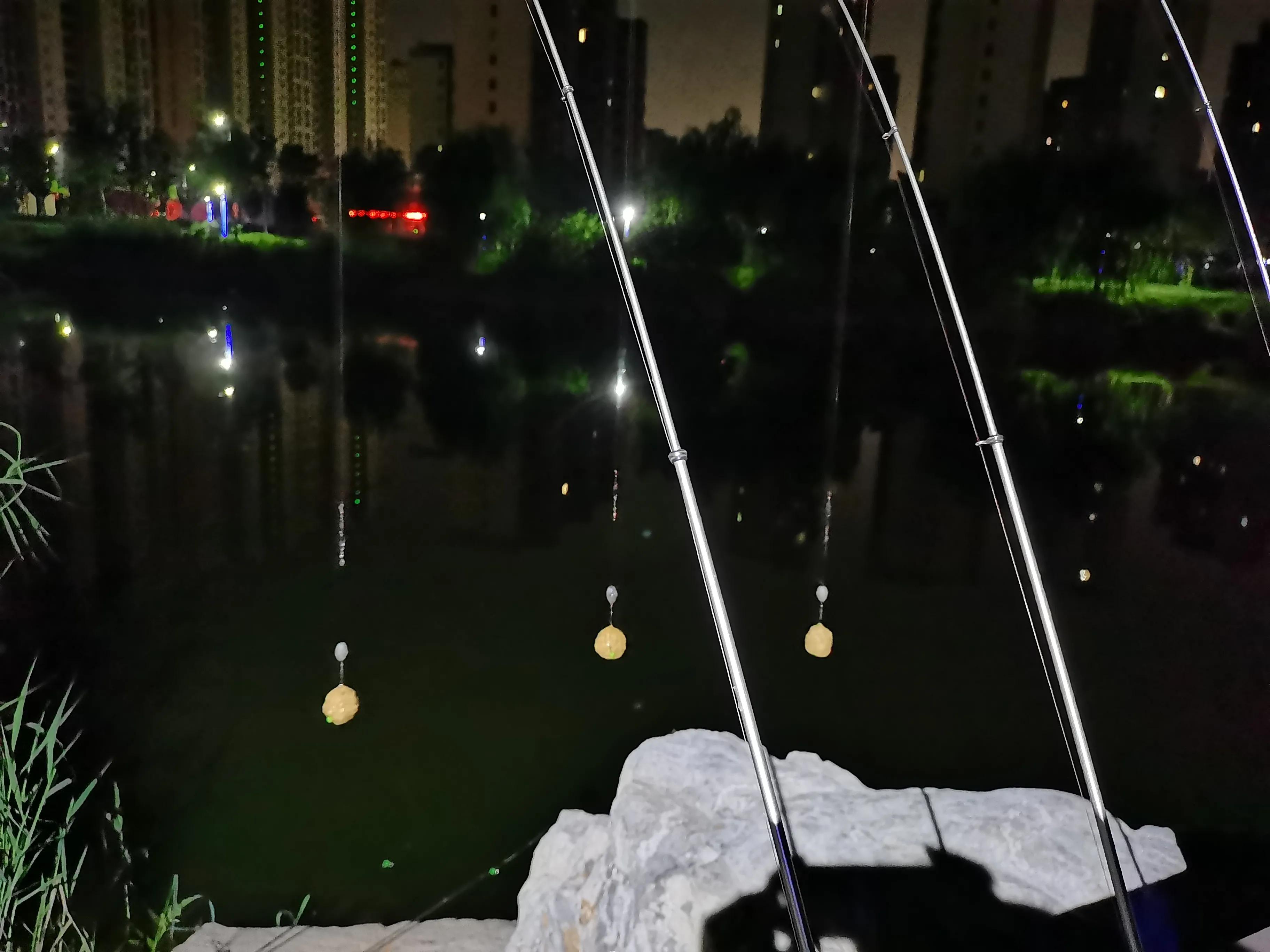 淡水矶钓什么鱼最好,福建淡水矶钓