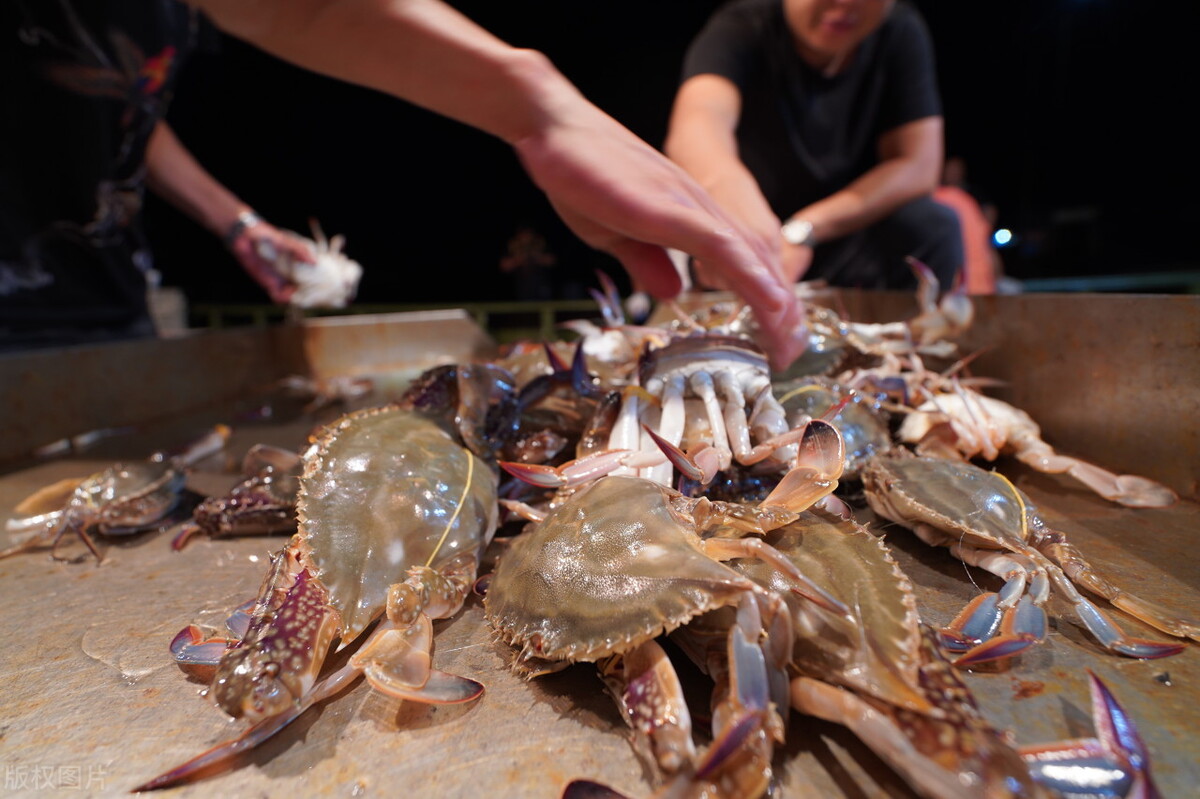 隔夜蟹、死螃蟹为何不能吃？男子吃隔夜蟹患上脑膜炎，关于螃蟹的正确吃法有两点要强调