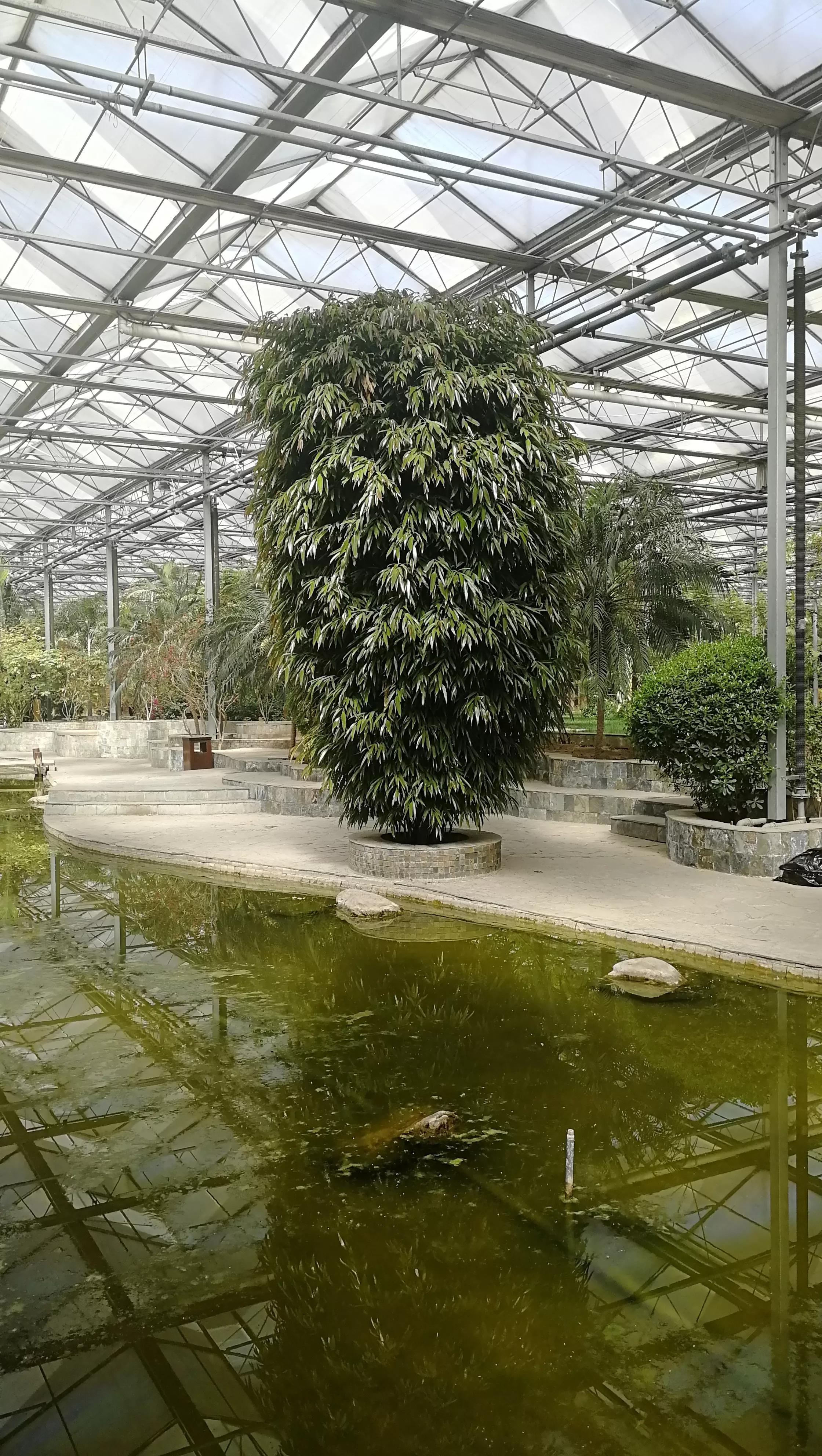 九天休闲谷现在去热吗,九天休闲谷完整版