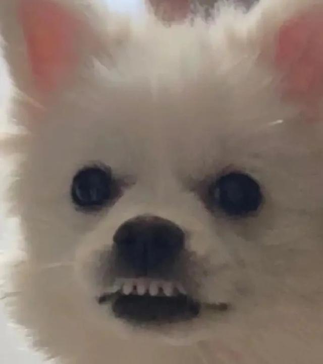 00后知道以前五一七天假吗,00后不知道00年代的事情