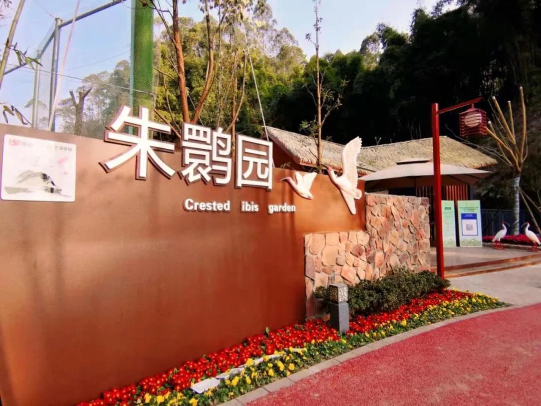 绿心公园5月3号有什么活动,绿心公园花开了好漂亮