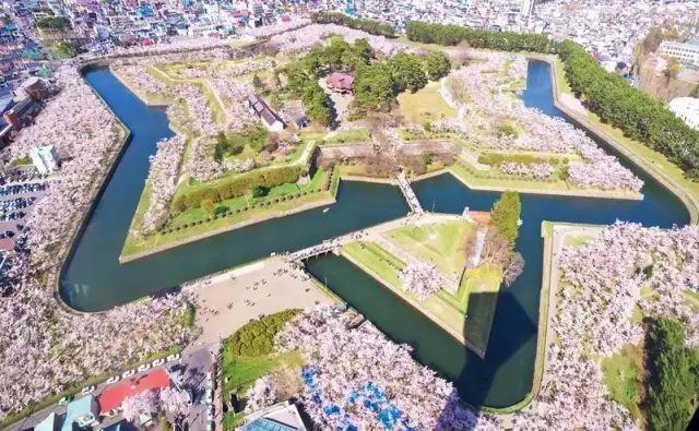 北海道赏樱住宿,北海道赏樱手册