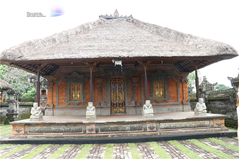 在印尼见识传说中最昂贵的猫屎咖啡