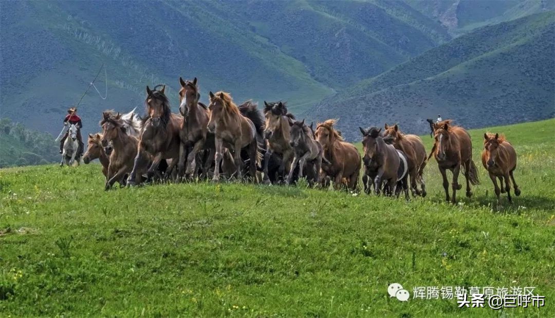 五月份去黄花沟好玩吗,五一黄花沟值得去吗