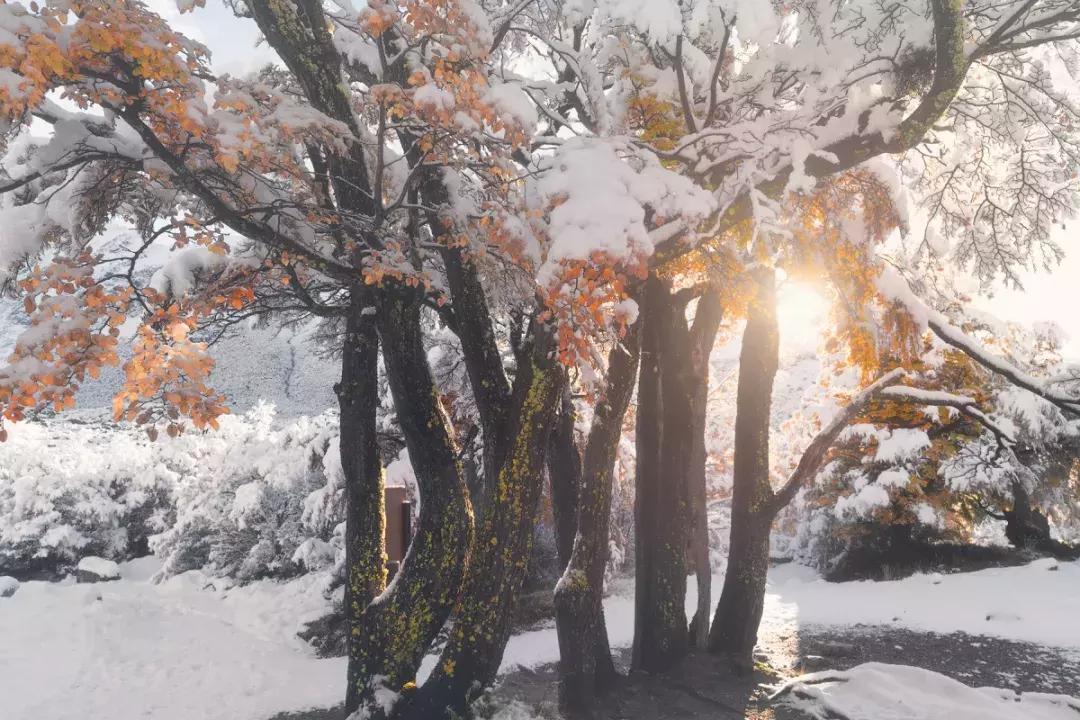 摄影讲堂冬季冰雪的拍摄技巧,冰雪拍摄技巧大全集