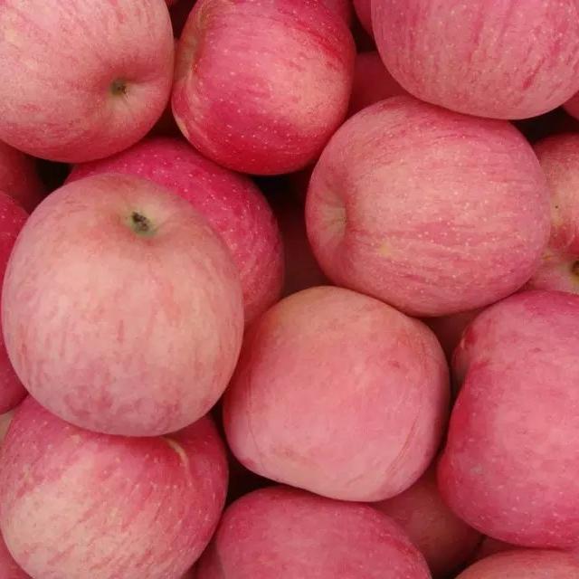 应季水果才能吃得更健康更安全,新鲜应季水果多种吃法