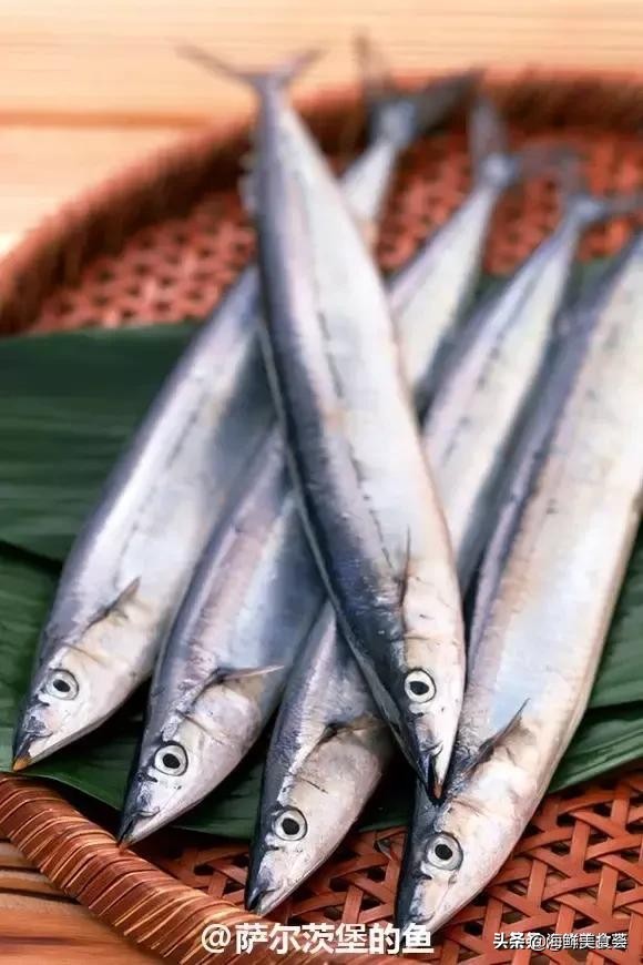 各种寿司纯鲜三文鱼刺身,日本传统寿司都用什么鱼