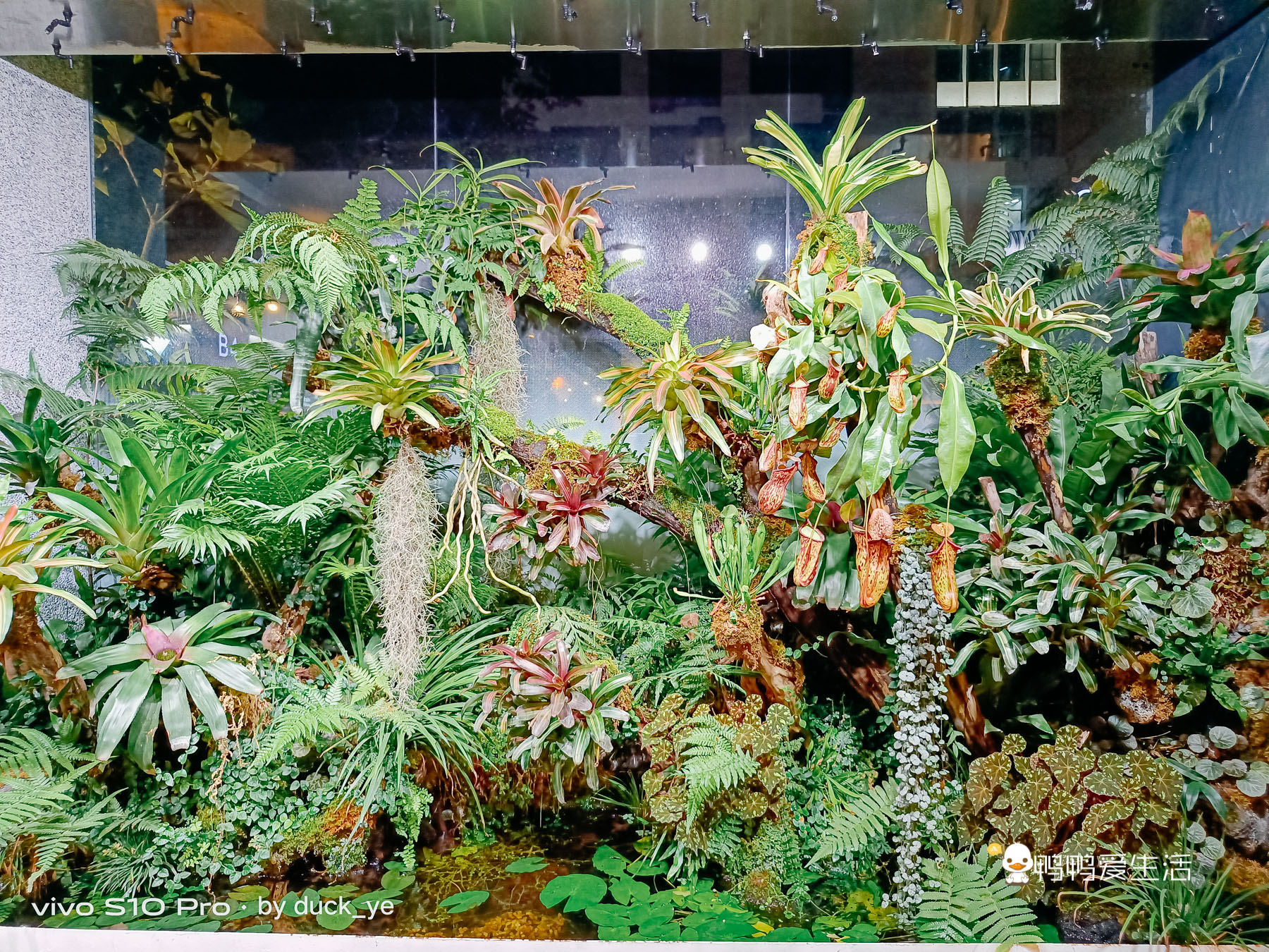 厦门华美空间藏一个绝美拍照地，误入仙境，可吃饭可拍照可看书