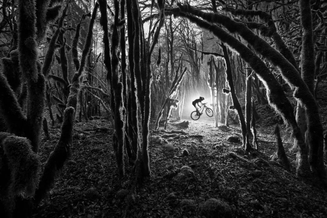 速度与激情特别行动摄影技术,速度与激情的绝美镜头