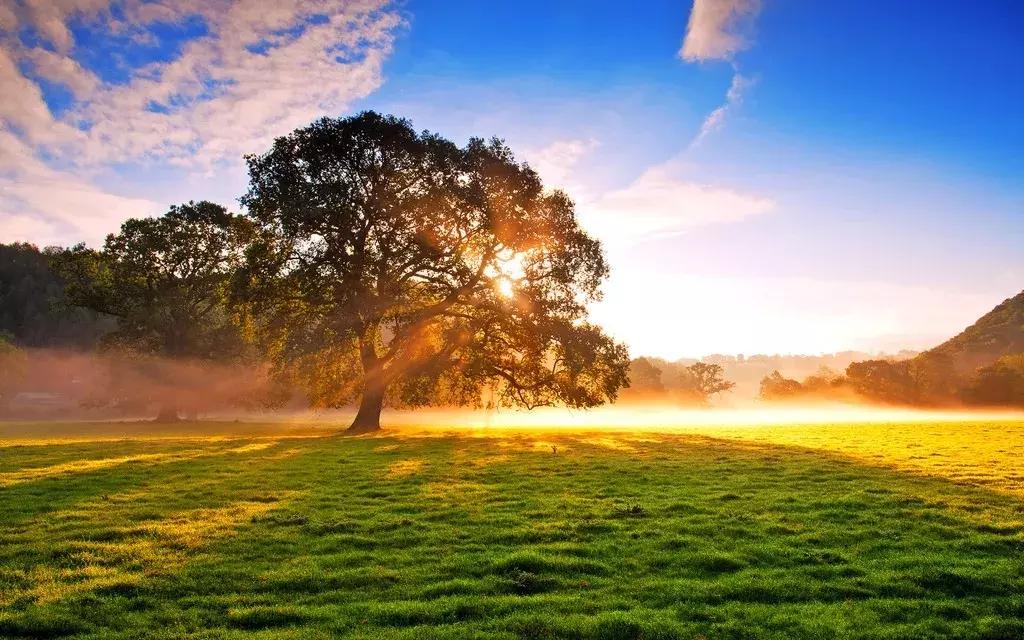 夜读《坛经》不知晓——《禅是纯生命》第二篇之十四