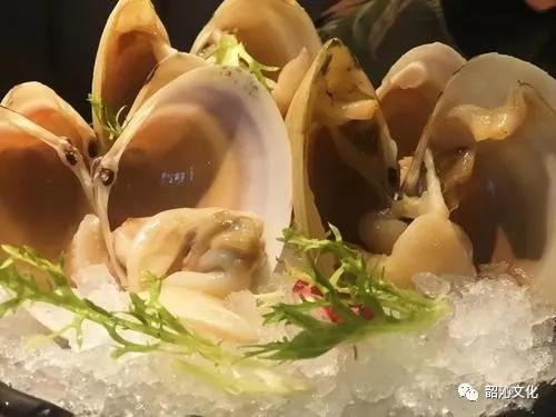 泊里西施舌购买,泊里西施舌