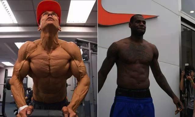 人类体脂率多少能看到肌肉,人类体重极限在哪