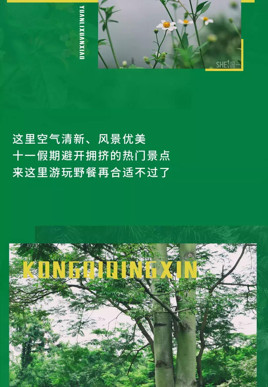 深圳市美美美,深圳最美免费水库