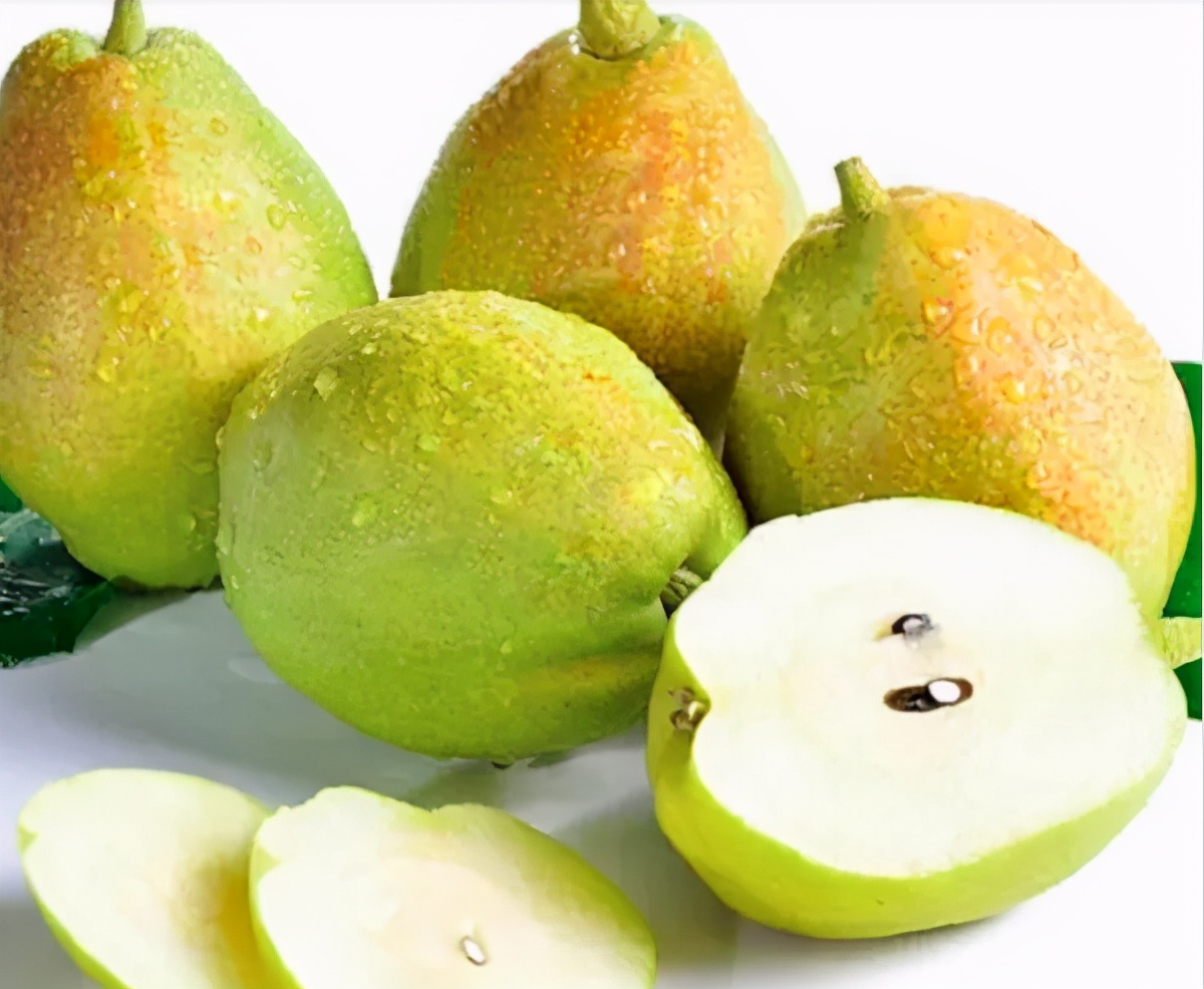 从新疆带走的特产,疆新域新疆特产