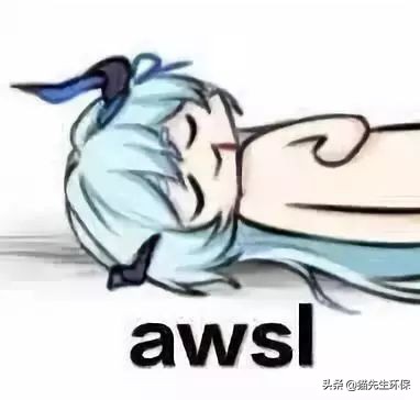 你是什么垃圾？又酸又南的2019年度热词，雨你有瓜