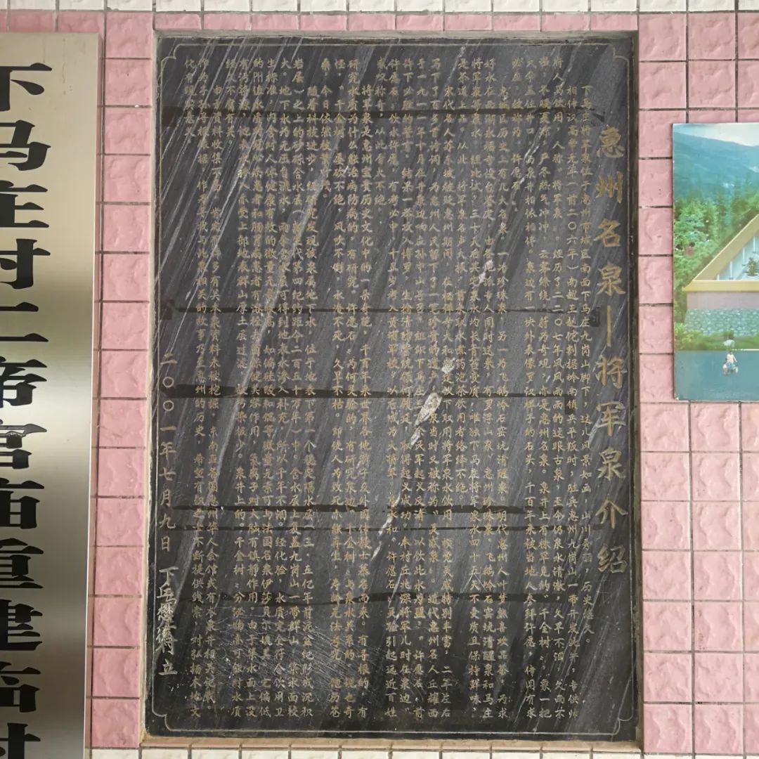 美丽鹅城,最美鹅城