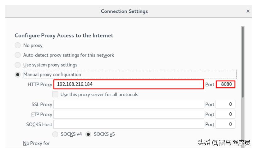 nginx正反向代理怎么用,nginx10分钟入门