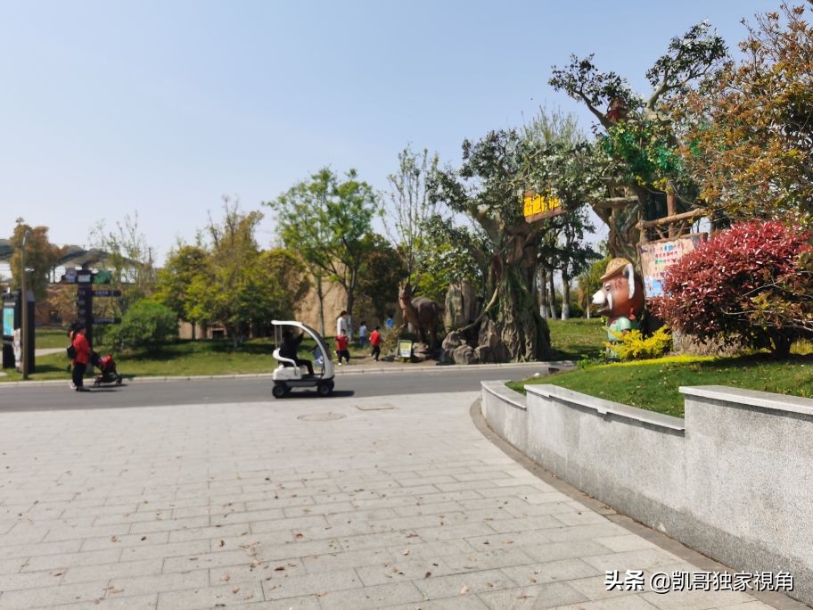 不一样的南通动物园,南通森林野生动物园和上海动物园