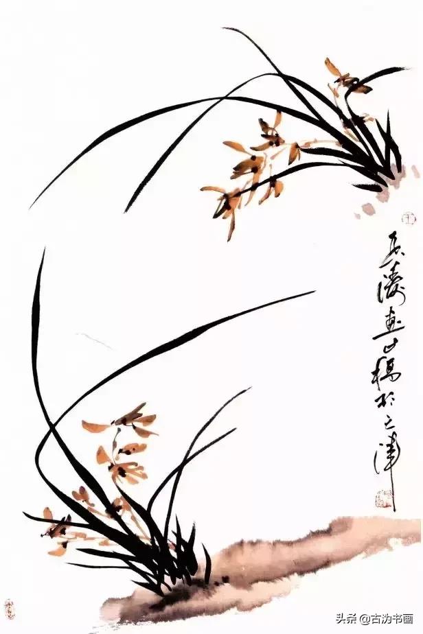 国画兰花技法讲解视频,徐湛国画兰花技法教学