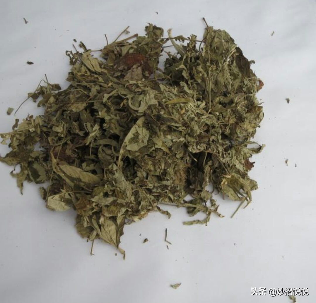 自己用艾草做的坐垫有效果吗,女用艾草坐垫