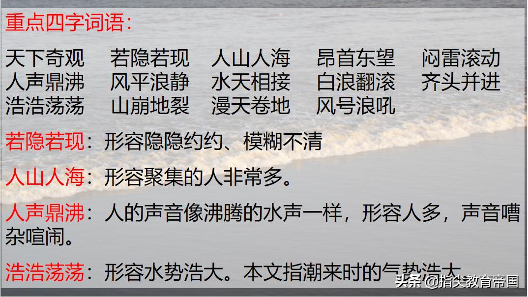 小学四年级考试前该怎么复习语文,期末语文四年级复习的最佳方法