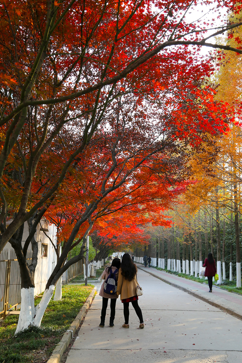 考研择校调剂院校,江苏师范大学考研调剂最新信息