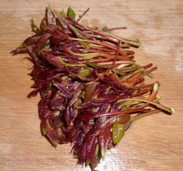 龙口美食教程,龙口美食小秘诀