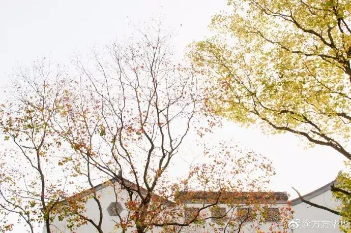 南京的秋天浪漫吗,一起去看南京最美的秋天