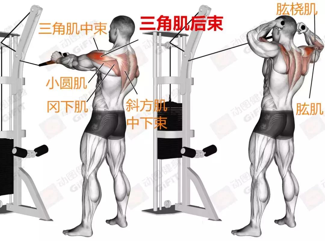 女生健身房器械训练计划一周,初中生健身房器械训练计划