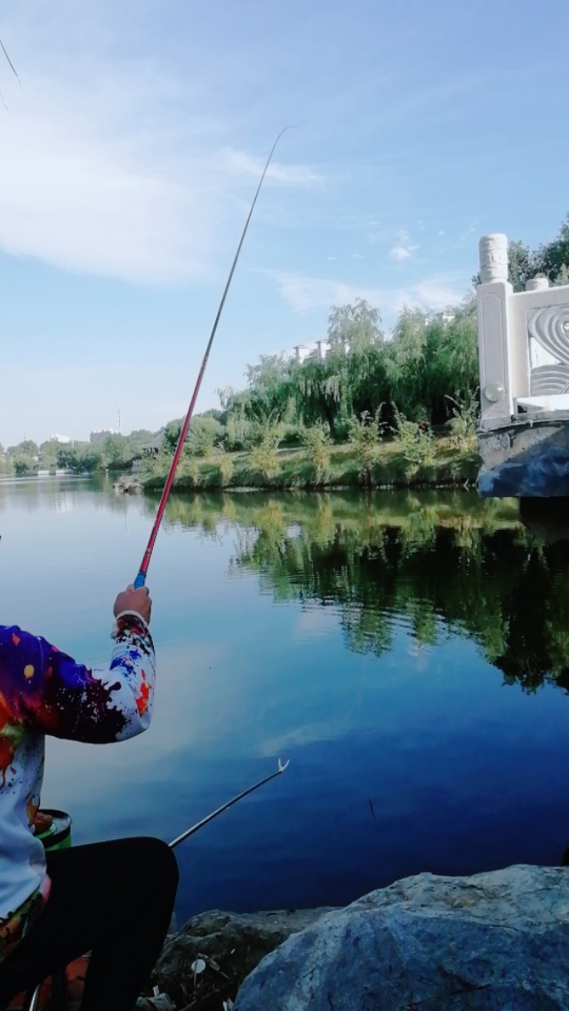浮漂有口不浮,浮漂有口无鱼是什么原因