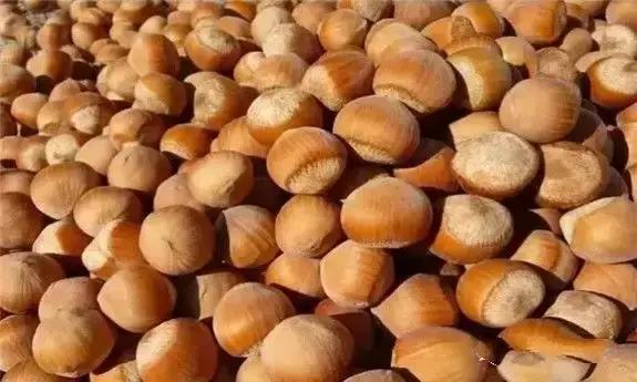 东北版满汉全席,原汁原味的满汉全席