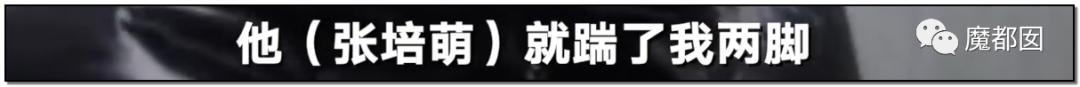 短跑名将张培萌家暴事件,短跑名将张培萌被控家暴