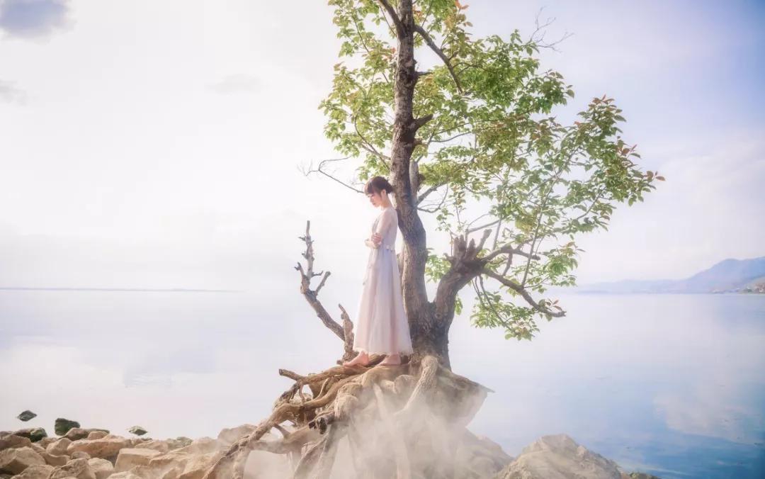 物极必反完整的句子,物极必反深度好文100篇