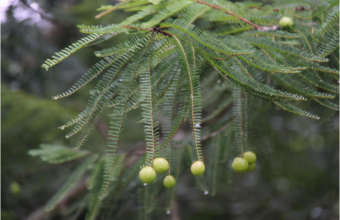 许多网红前来打卡,全网最火网红打卡人物