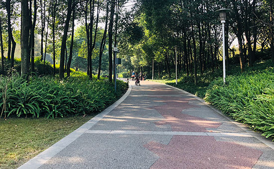 空港运动公园绿道,空港城市绿道骑行