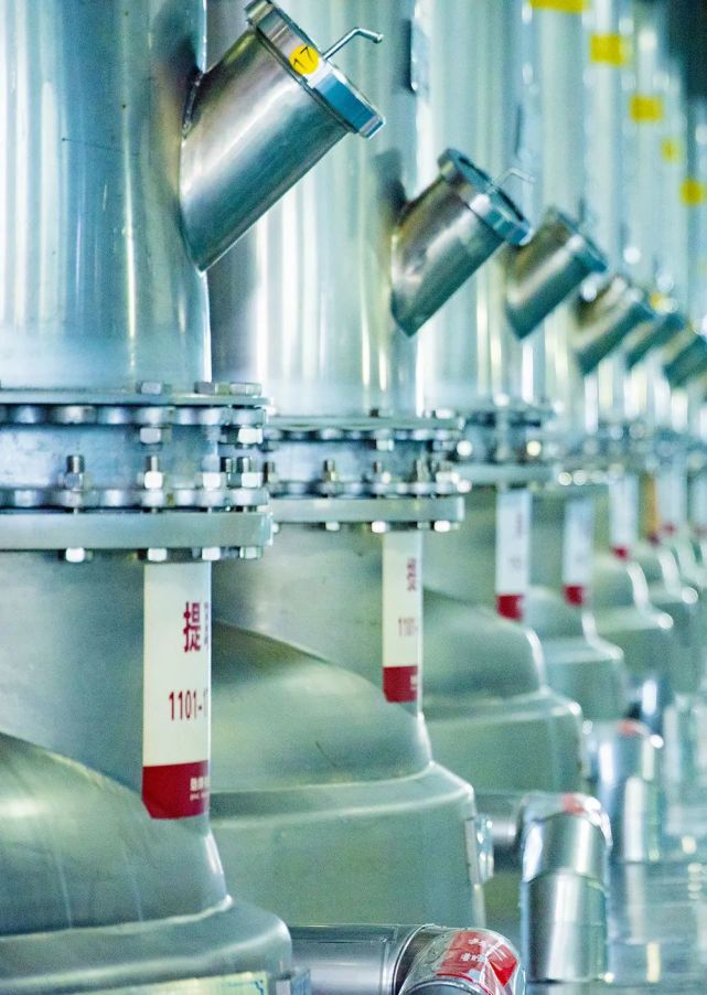 白松黑露，在丽江「上演旷世传奇」