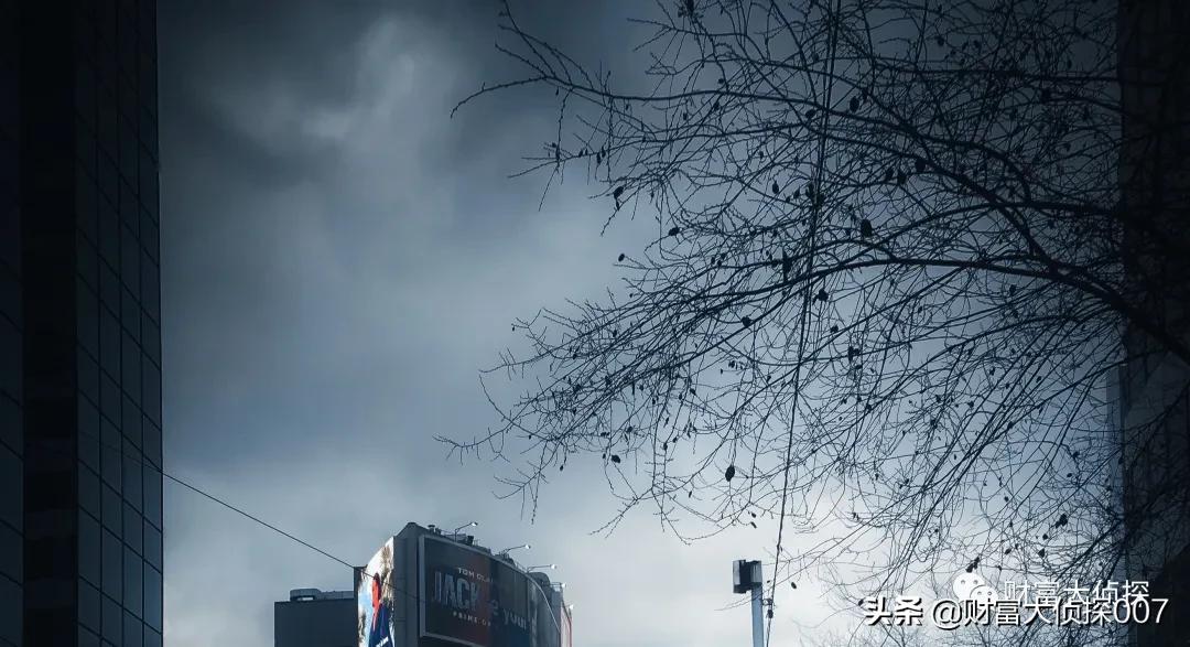 西部利得基金好不好,西部利得基金最新信息