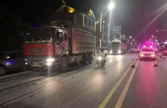 桂林一晚查获38只醉猫”，这种行为等于谋杀！