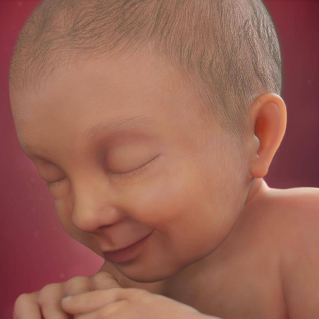 怀孕40周胎宝宝每周长什么样,怀孕40周胎停什么原因