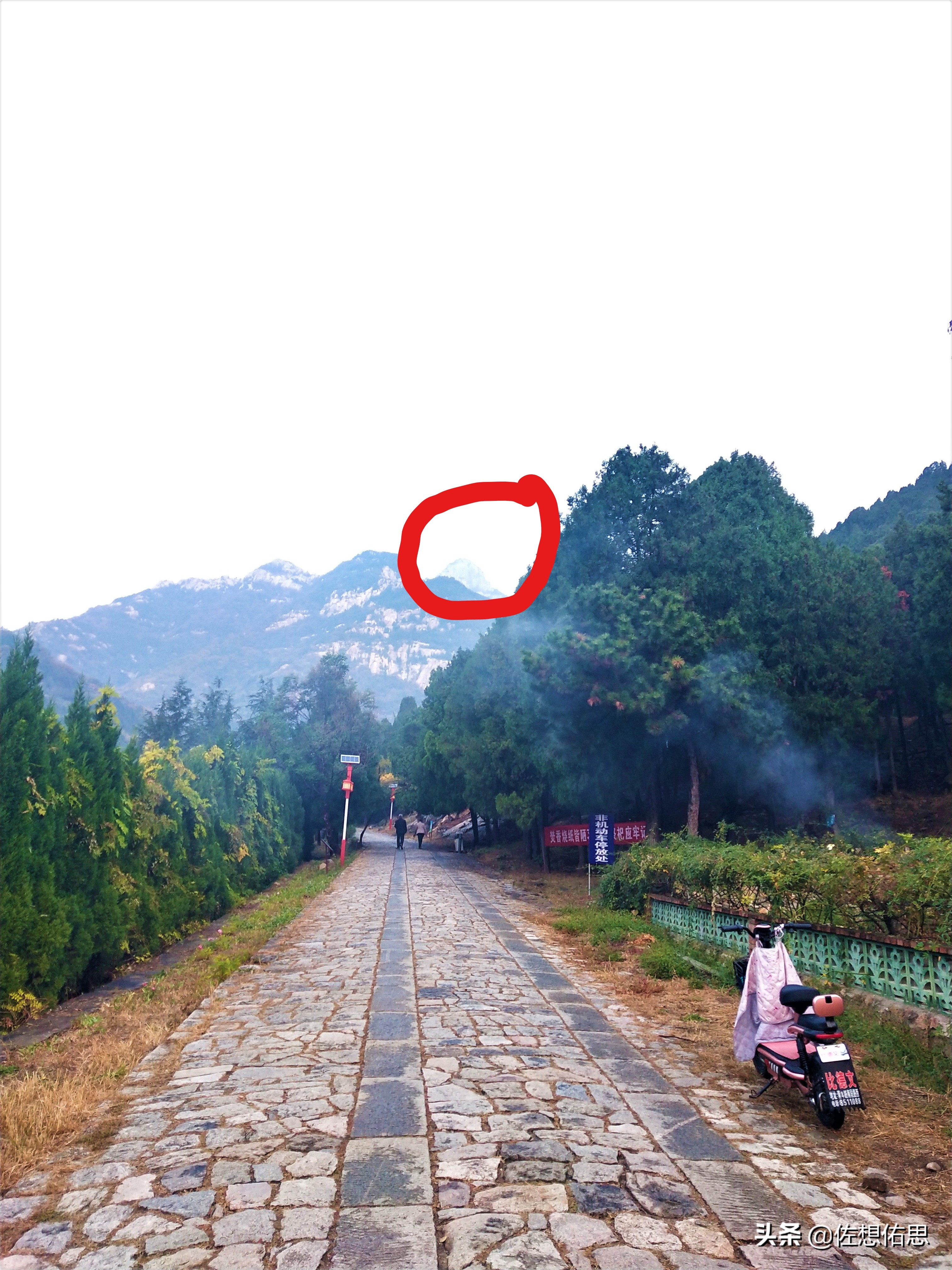 泰安扇子崖免门票吗,扇子崖门票多少钱