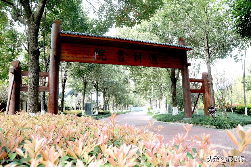 孩子开学生活步入正轨视频,开学后的校园生活