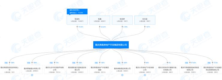 重庆房产10大风云人物,重庆掌门人
