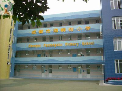 成都五朵金花小学怎么样,成都五朵金花小学